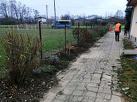 Vorher
